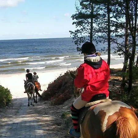 Sloneczna 10tka 公寓 *