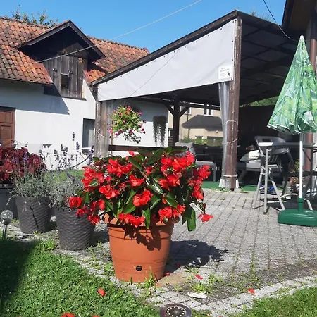 Sloneczna 10tka Daire Sztutowo