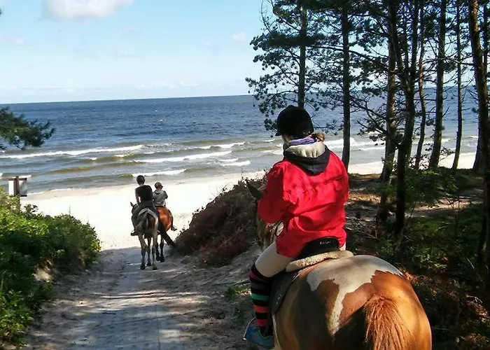 Sloneczna 10tka Daire *